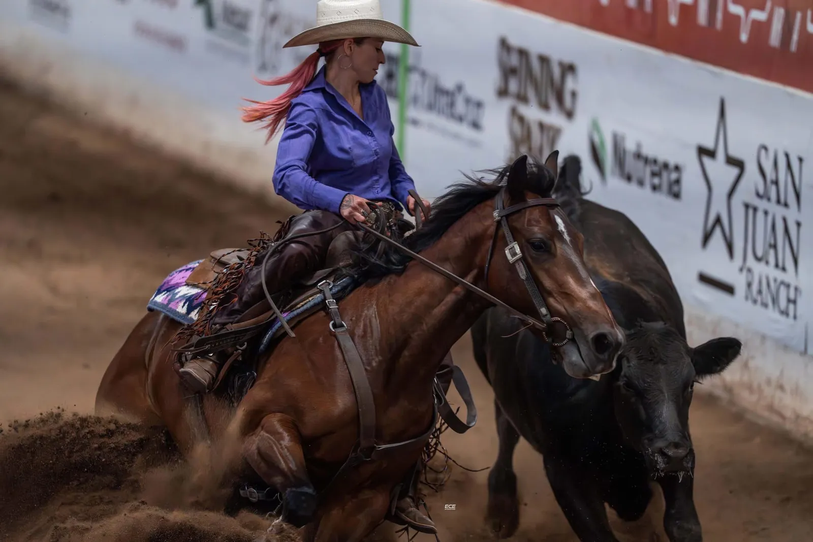 Arianna Picciotti riding a cutting horse working a cow in an arena